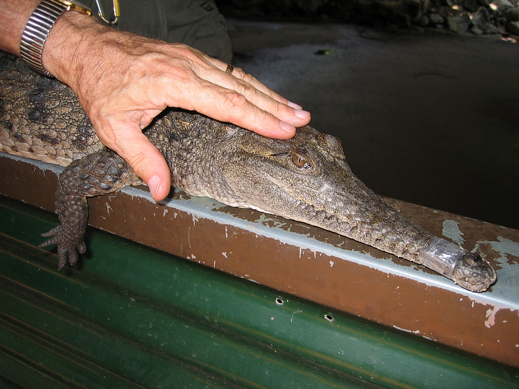 099 Port Douglas Wildlife Habitat.jpg